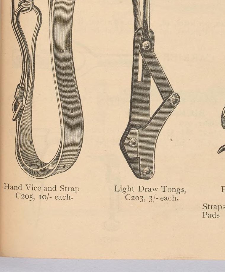 Wynn, Timmins & Co., каталог 1899 — стр. 81